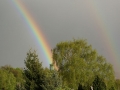 Regenbogen