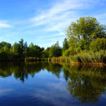 Teich an der Ruhr